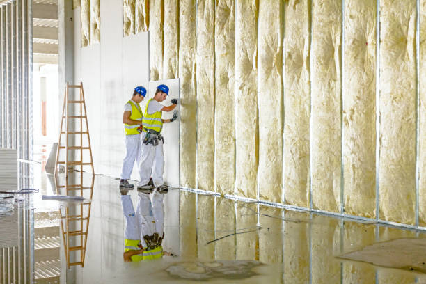 Best Eco-Friendly or Green Insulation Solutions  in Independence, KS